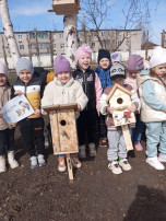 День птиц День птиц.